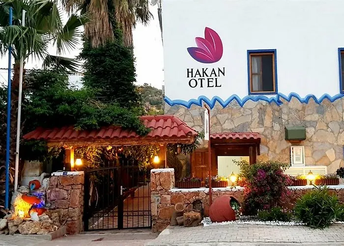 Hakan 公寓 *